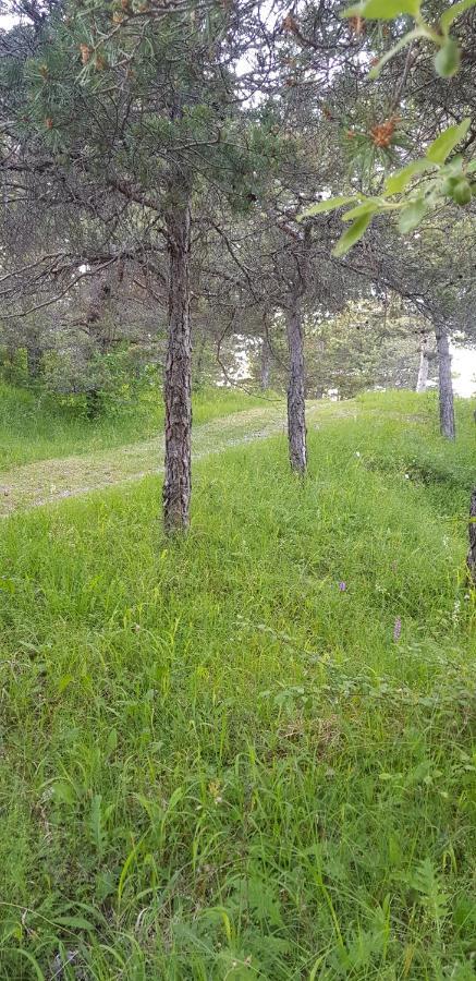 Camping La Chabannerie Hotel Saint-Martin-de-Clelles Kültér fotó