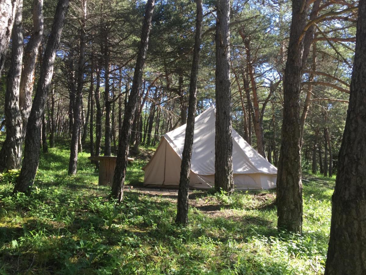 Camping La Chabannerie Hotel Saint-Martin-de-Clelles Kültér fotó