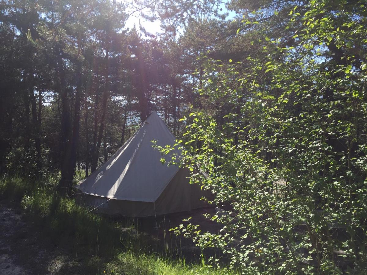 Camping La Chabannerie Hotel Saint-Martin-de-Clelles Kültér fotó